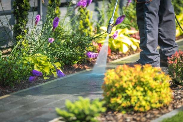 Best Fence Cleaning  in Sonterra, TX